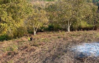 فروش400متر زمین شهرودکلا