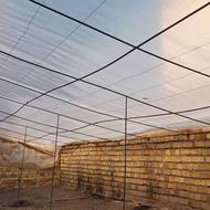 نایلون یا پلاستیک گلخانه