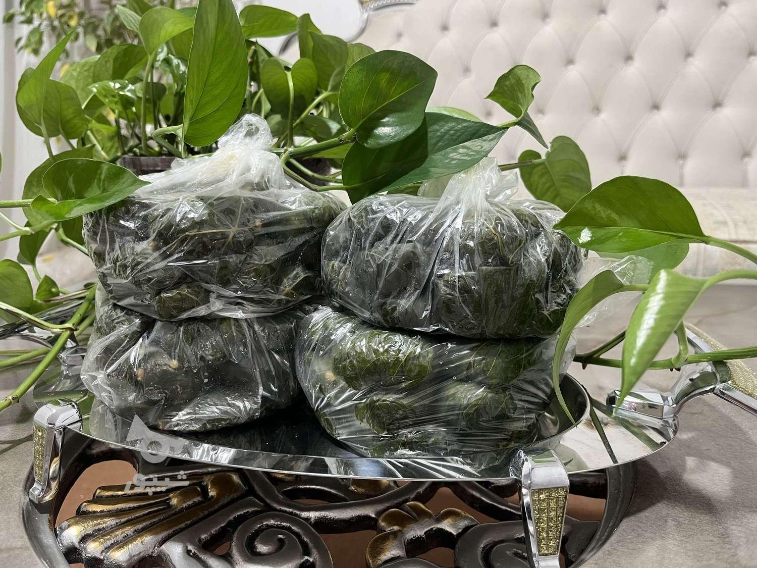 دلمه نیمه‌آماده خانگی با برگ تازه؛ مناسب دو نفر