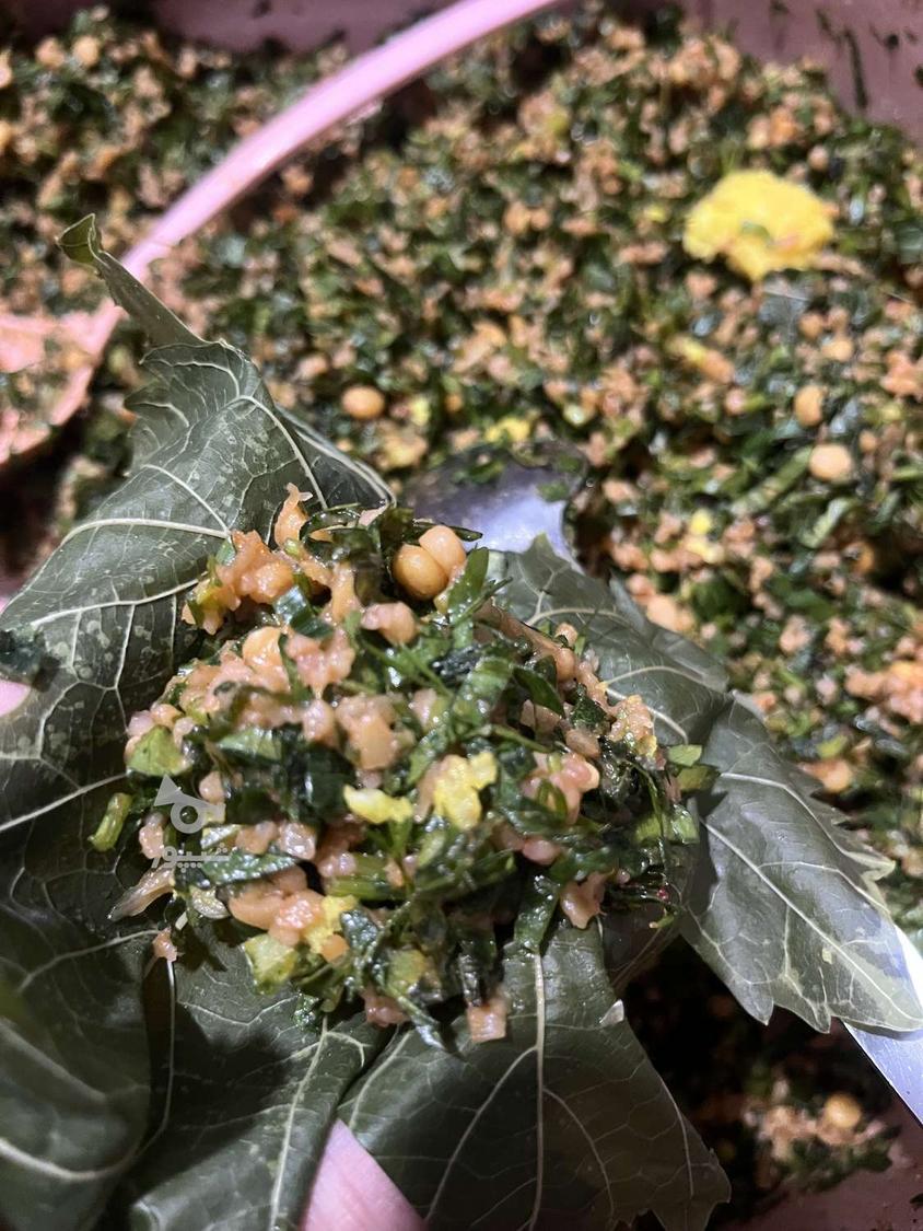دلمه نیمه‌آماده خانگی با برگ تازه؛ مناسب دو نفر