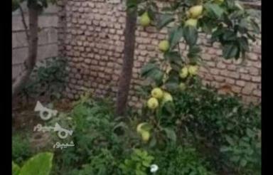 خانه ویلایی 100 متری در شهر دلند