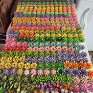 گلهای خمیر چینی