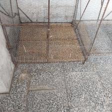 قفسه مرغ وجوجه