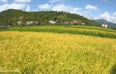 زمین 200 متری