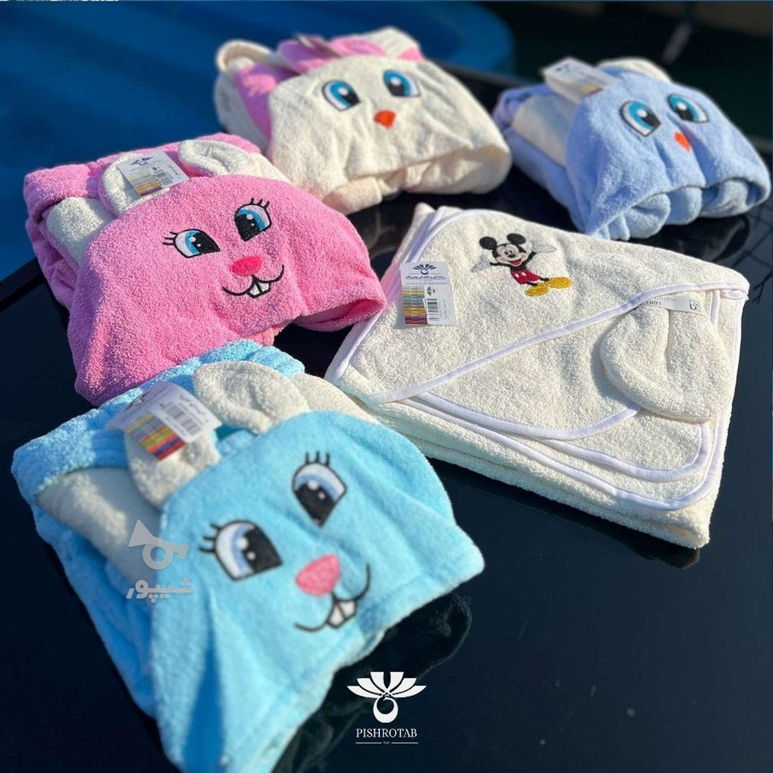 حوله پیشروتاب