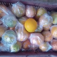 فروش پرتقال نایلون پیچ شده