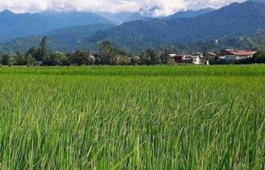 فروش زمین کشاورزی 5000 متر در شهرک صنعتی