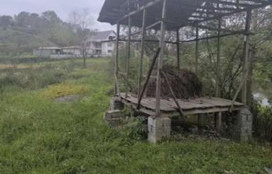 650 متر زمین اطراف سوخته کوه