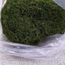 محصولات خانگی متین