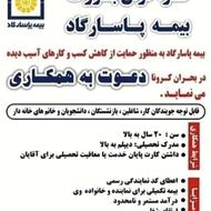 استخدام کارشناس ونماینده