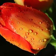 فراخوان برای خیرین کشور