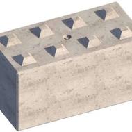 هم بنیان گذاد یا شریک