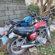 سالم وسلامت