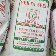 بذر شاهی یکتابذر