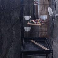 قفس سالم فروشی