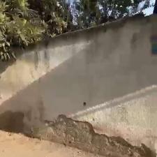 فروش زمین مسکونی 300 متر در خیابان نور