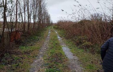 فروش زمین باغی