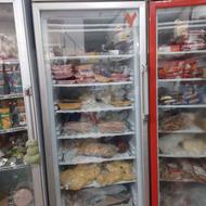 فریزر ایستاده تک درب آلبروس