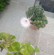 کارگر هستم بیکارم دنبال کارسایر استانها کاردر ساختمانی،