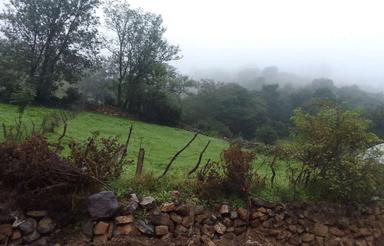 فروش زمین در منطقه کجور قبل روستای نیچکوه