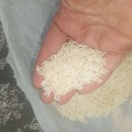 فروش برنج عمده