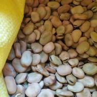 باقلای رقم هیستال هفت بند