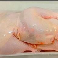 مرغ عمده و جزئی