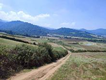 فروش زمین کشاورزی 5000 متربالا فاضل اباد آزادشهر در شیپور