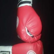 فروش دستکش بوکس