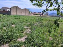 فروش زمین مسکونی 300 متر در آزادشهر در شیپور