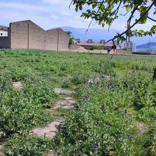 فروش زمین مسکونی 300 متر در آزادشهر