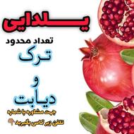 ترک اعتیاد تضمینی بدون درد_مشاوره رایگان