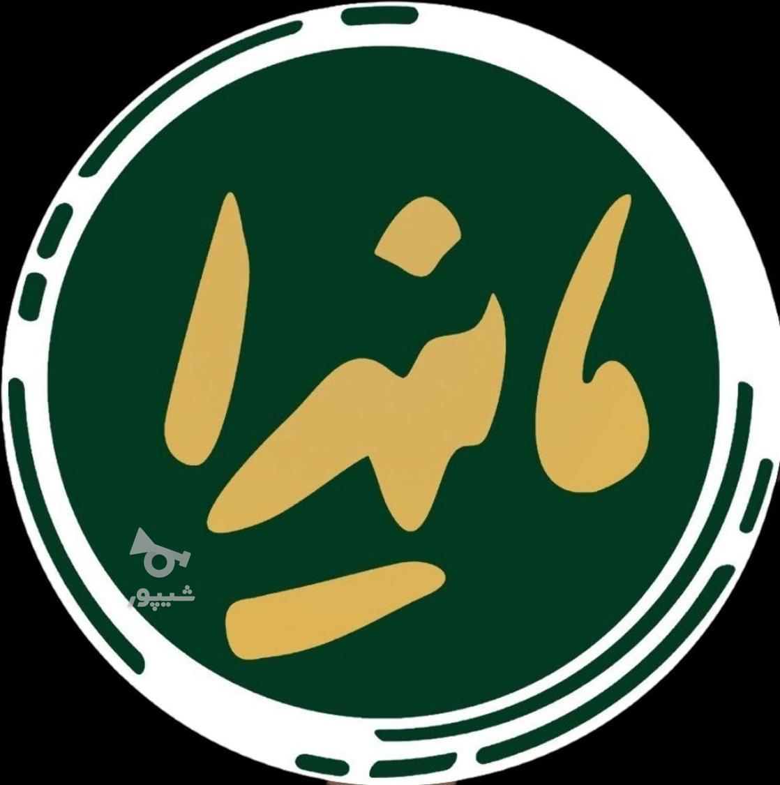 سالندار خانم - شاهرخ