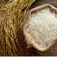 برنج ایرانی بصورت نقد و اقساط