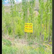 باغ سیب و گلابی لاسم روستای نجفدر