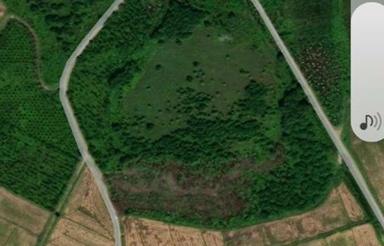 فروش زمین کشاورزی 22000 متر در تازه آباد - رودسر