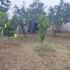 فروش زمین مسکونی 330 متر در سید محله