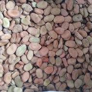 باقلا خشک برای کاشت