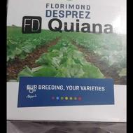 بذر چقندر قند خارجی