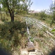 خرید انواع چوب