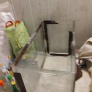 اکواریوم ماهی