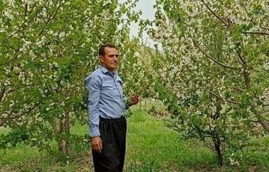 زمین کشاورزی بغله تونل باغان روستایی شیخ عطار