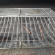 قفس پرنده ...