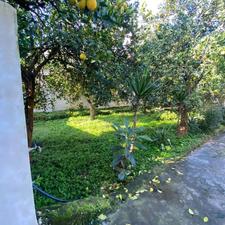 فروش زمین 8000 متر،ساحلی در چلندر