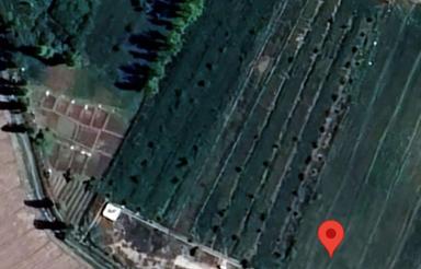 2800متر باغ در روستای امام کندی