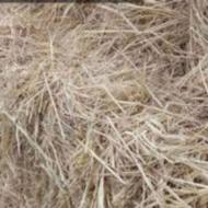 کلوش یا سراچین فله