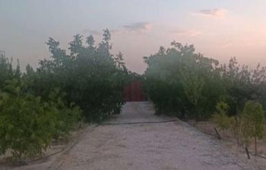 فروش باغ دارلین سپیدان مجموعه مینو