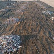 فروش ماهی ساردین و متو خشک