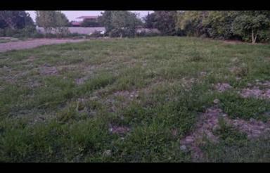 فروش زمین مسکونی 1200 متر مخصوص ساخت ویلا جاده بندارخیل