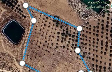 15 هزار متر باغ بادام دیم